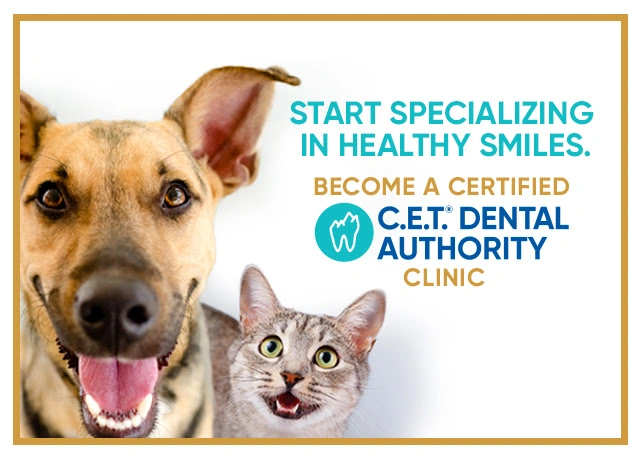 Dental Authority Certification Program